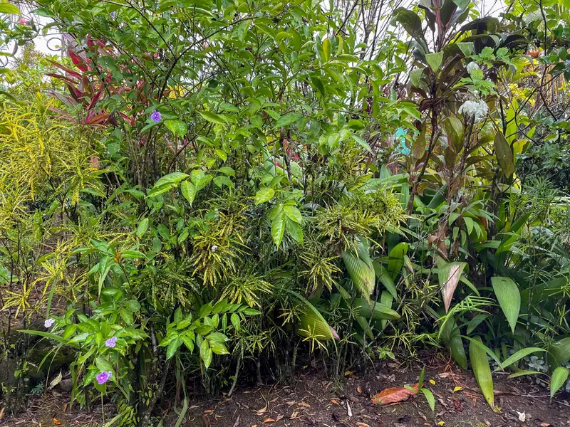 One-bedroom Home with Expansion Potential in Central Ojochal, Costa Rica