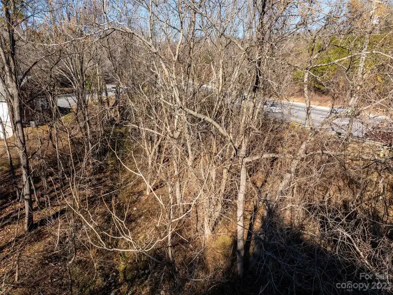 Undeveloped Road Frontage on New Leicester Hwy - 295' Opportunity