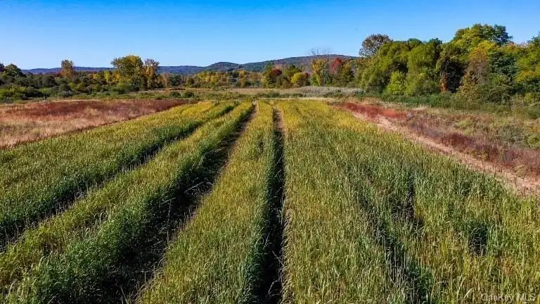 558+ Acre Parcel in Pawling, Ny – Ideal for Residential or Commercial Development
