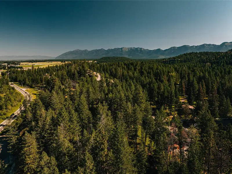3.59-acre B-2 Zoned Land in Prime Bigfork Location with Marketable Timber
