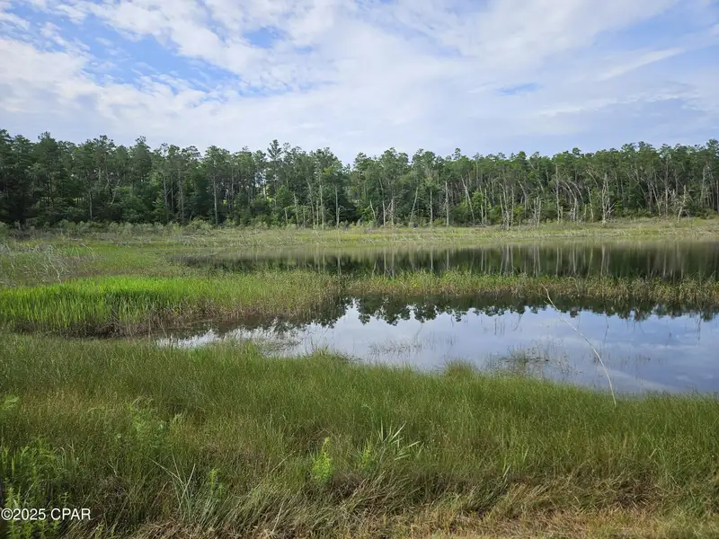 15.75 Acres of Commercial and Residential Land Near Bay County Line on Highway 77