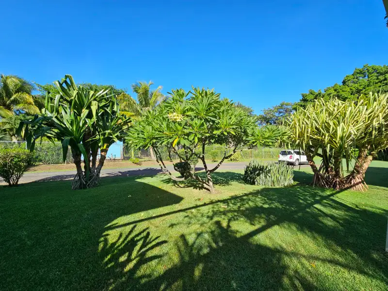 Seahorse Bed and Breakfast - Serene Retreat in La Josephina Valley, Near Tamarindo
