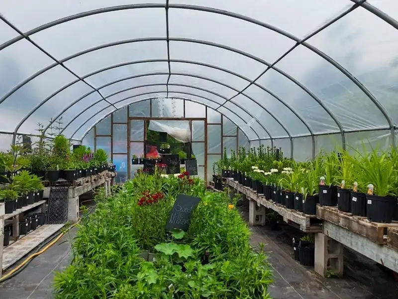 Greenhouse Business Opportunity on 7 Acres with Ocean View in St. Peter's, Ns