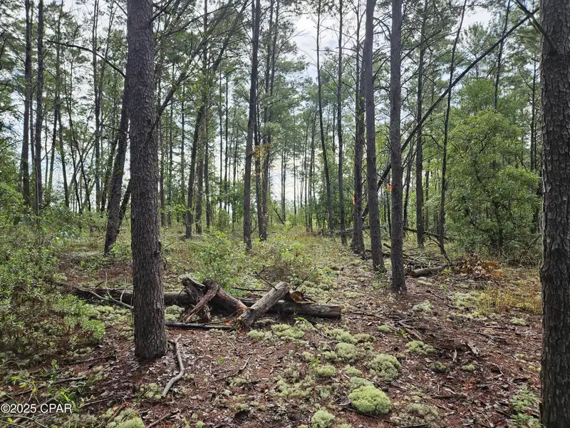15.75 Acres of Commercial and Residential Land Near Bay County Line on Highway 77