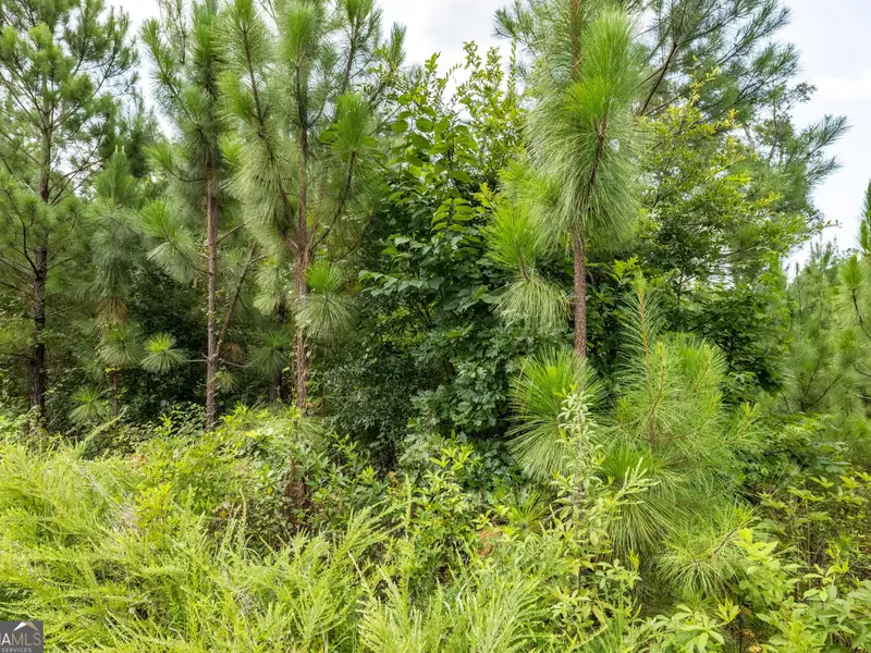 27 Acres with 2,400 Sq. Ft. Home, Duplexes, Pool, and Barn in Prime Location