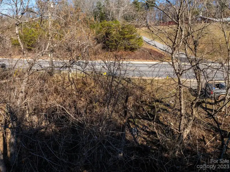 Undeveloped Road Frontage on New Leicester Hwy - 295' Opportunity