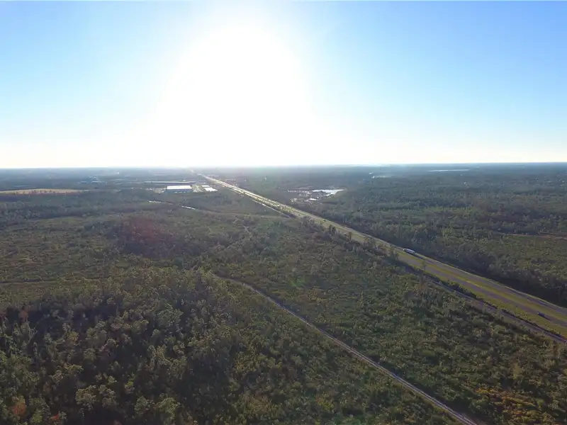 80 Acres of Commercial Potential on U.s. Highway 231, Bay County