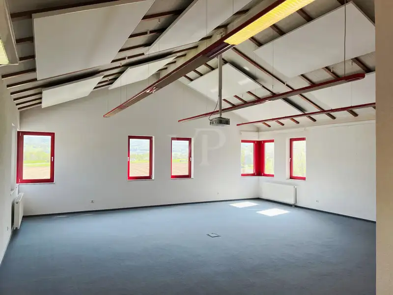 Versatile Company Building with Apartments, Offices, and Storage in Prime Location