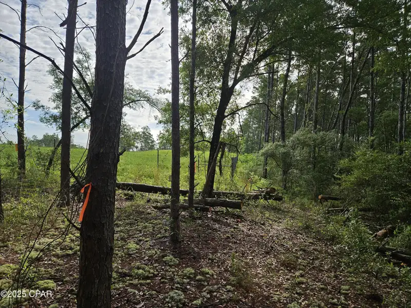 15.75 Acres of Commercial and Residential Land Near Bay County Line on Highway 77