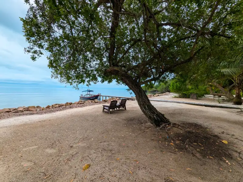 Beachfront Eco-resort Opportunity in Monkey River, Belize on 2.5 Acres with Boat Access