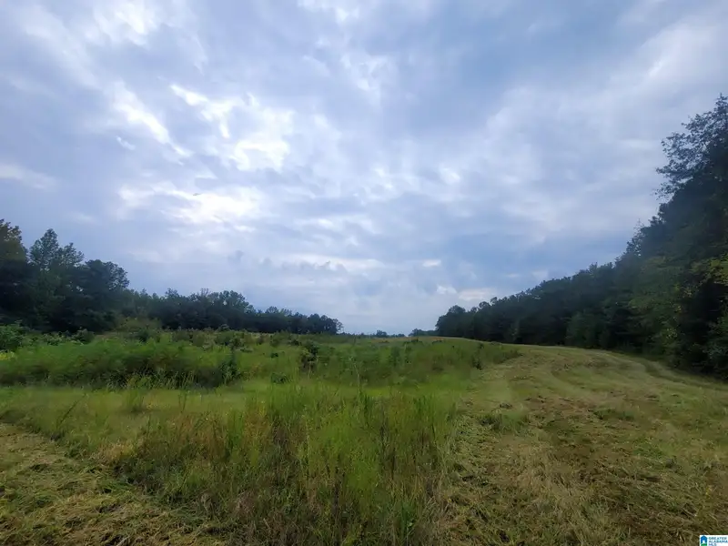 Chilton County Commercial Property with 45+ Acres - M-2 Zoning, Railroad Access
