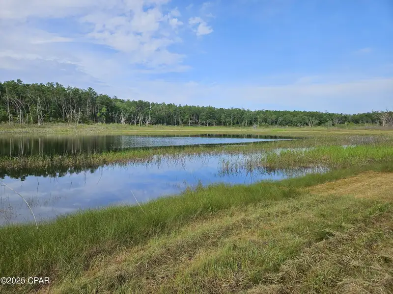 15.75 Acres of Commercial and Residential Land Near Bay County Line on Highway 77