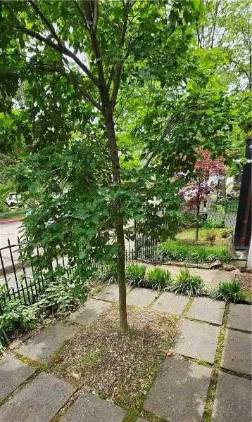 Charming Airbnb Cottage on Historic Loop with Upgrades and Large Entertaining Deck