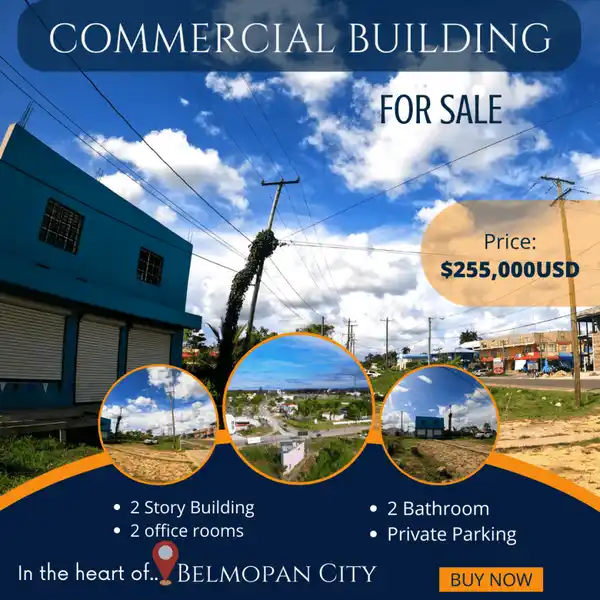 Commercial Sale