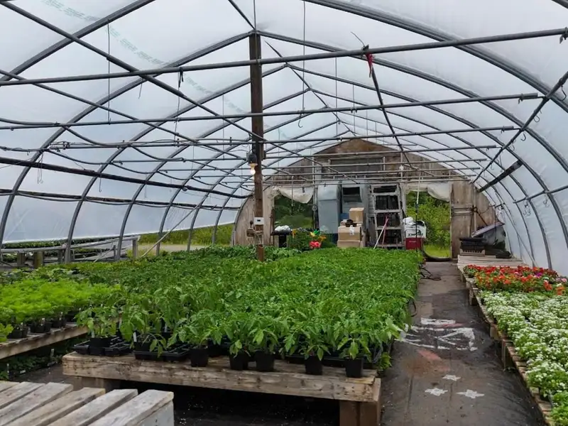 Greenhouse Business Opportunity on 7 Acres with Ocean View in St. Peter's, Ns
