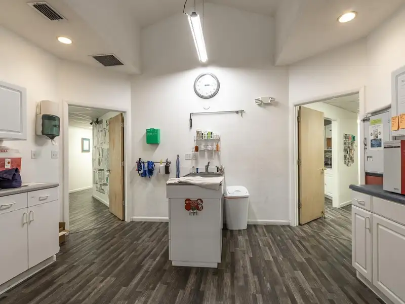 Mixed-use Investment Portfolio in Haile Village Center with 4 Buildings and 11,000 Sq Ft