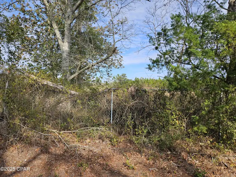 Commercial Land Near Margaritaville - 3.22 Acres with Hwy 79 Frontage