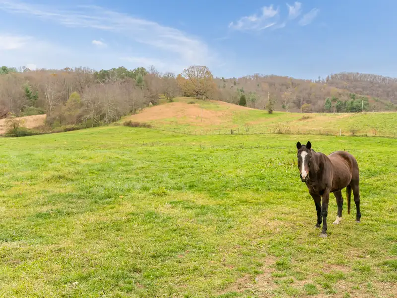 Unique 268-acre Asheville Property with Mountain Views, Homestead, and Horse Facilities