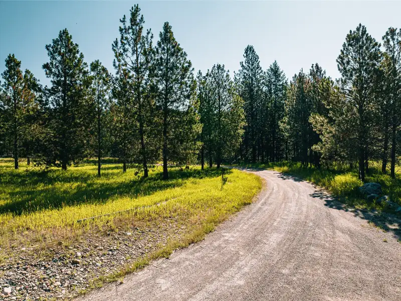 3.59-acre B-2 Zoned Land in Prime Bigfork Location with Marketable Timber
